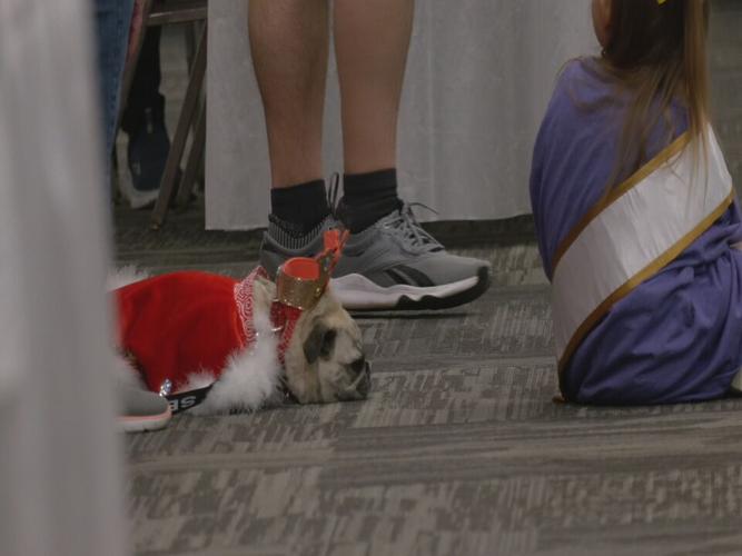 Bluegrass Pugfest 2023 (21).jpeg