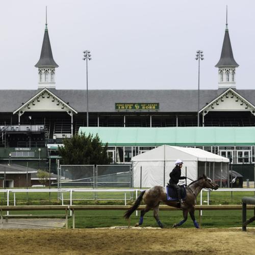 Horse and spires.jpg
