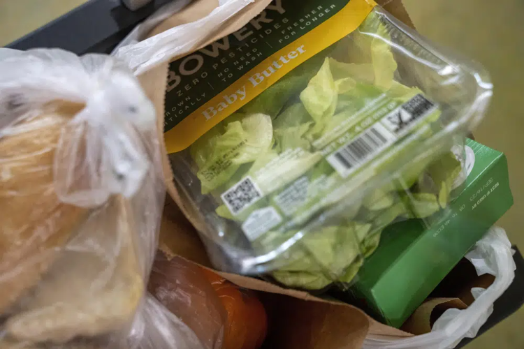 Grocery bags with food
