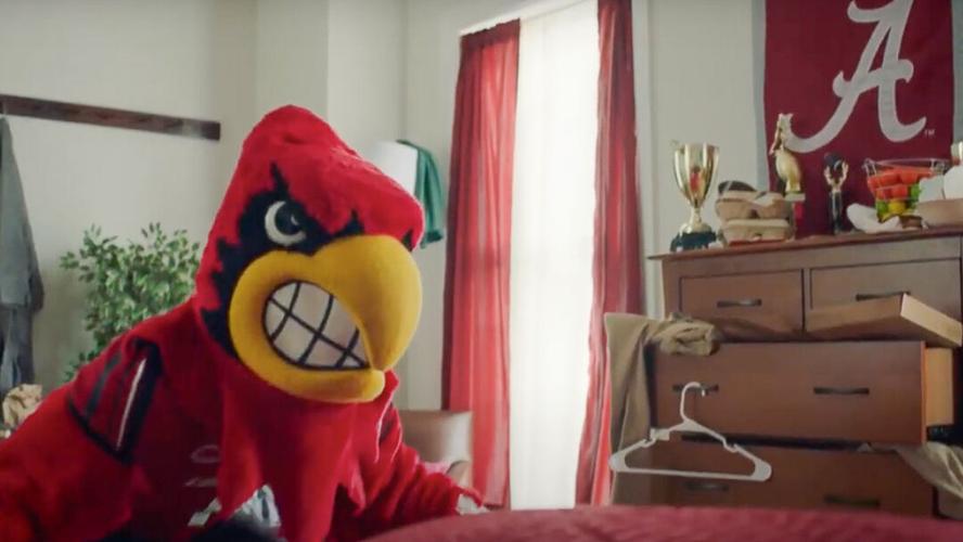 Cardinal bird mascot