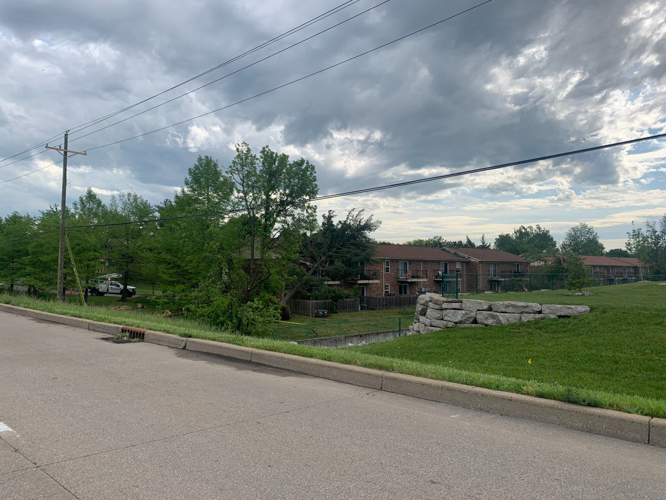 Trees down in New Albany outside apartments