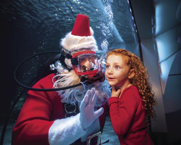 Newport_Aquarium_Scuba_Santa_with_girl.jpg
