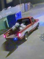 Hundreds of dollars worth of mums stolen from Fairdale High School fundraiser