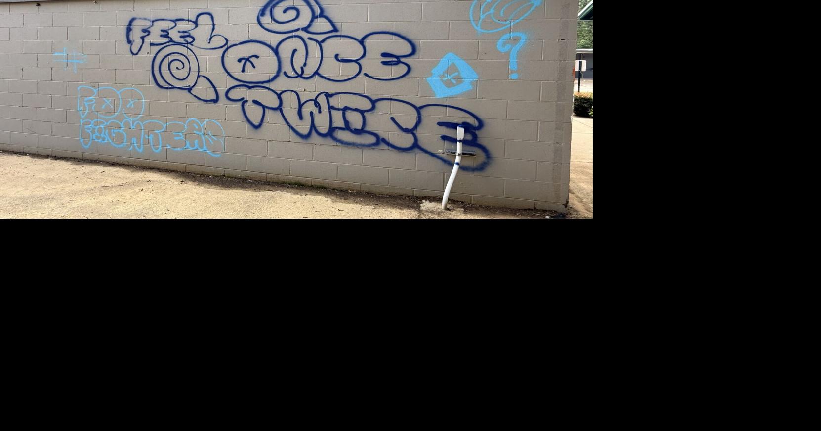 Vandalism News Image