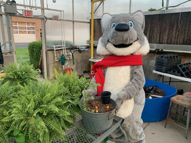 WDRB's Snow Fox visits Bullitt Central's Ag program