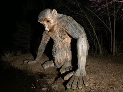 Bernheim Forest learning.jpg