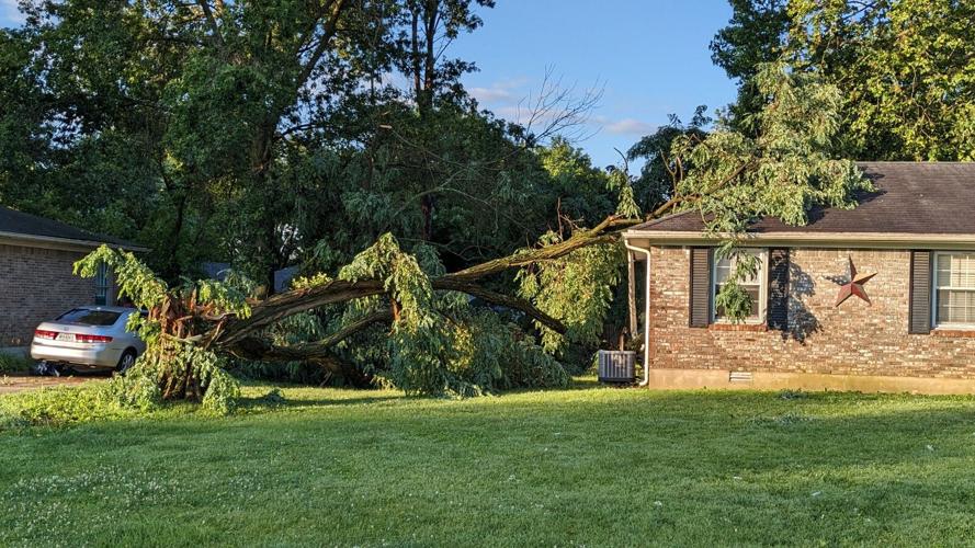 STORM - TREE ON HOUSE HWY 44 MT WASHINGTON  - JOE JUNIOR - 6-25-2023  (1).jpg