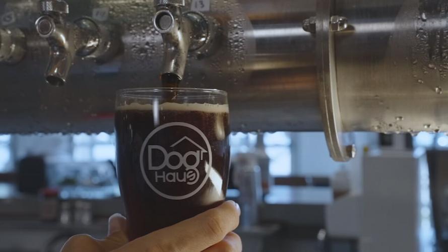 Dog Haus Biergarten