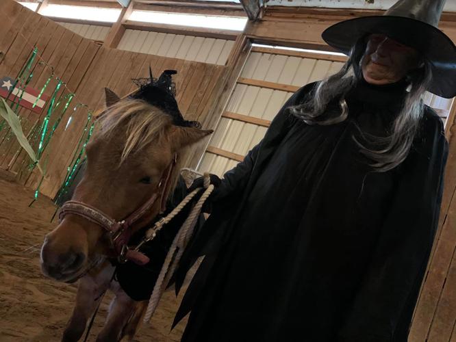 IMAGES| Mini horses win Halloween with costume party fundraiser for Opening Gates nonprofit