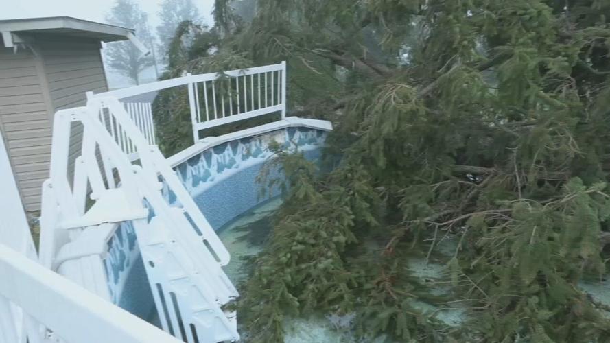 Salem Storm Damage - tree limbs in swimming pool