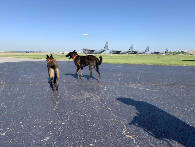 Kentucky Air National Guard Search and Rescue K-9 Callie, Pits