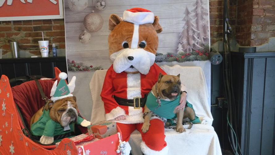 Indiana Bulldog Rescue pop-up shop 12-5-21