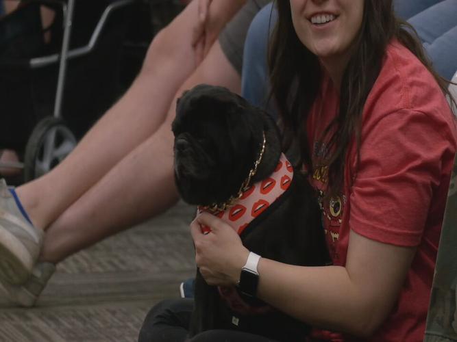 Bluegrass Pugfest 2023 (15).jpeg