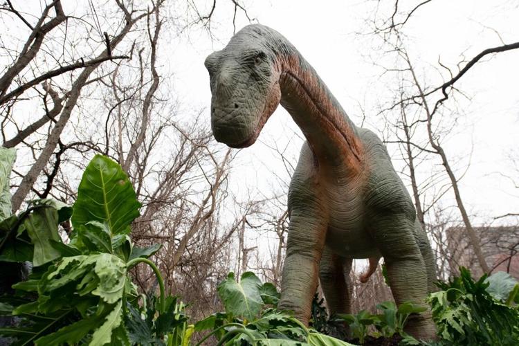 Dino Quest exhibit