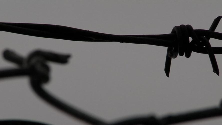 barbed wire