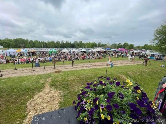 Charlestown Castle75.jpg