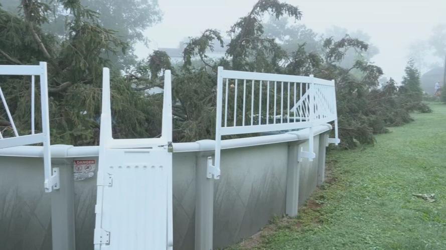 Salem Storm Damage - tree in backyard pool