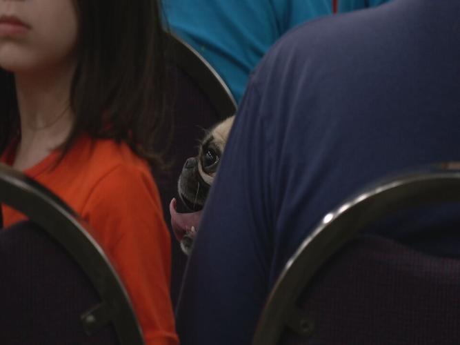 Bluegrass Pugfest 2023 (13).jpeg