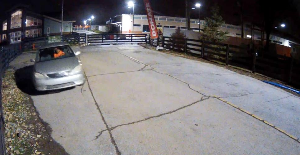 LMAS DOG TIED TO GATE (FRONT)