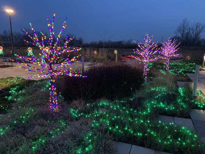 Gardens Aglimmer (15).JPG