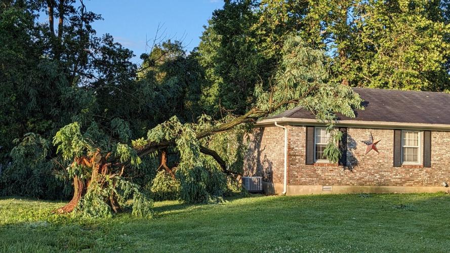 STORM - TREE ON HOUSE HWY 44 MT WASHINGTON  - JOE JUNIOR - 6-25-2023  (2).jpg