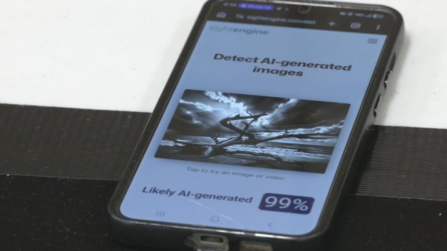 Kentucky State Fair art accused of AI