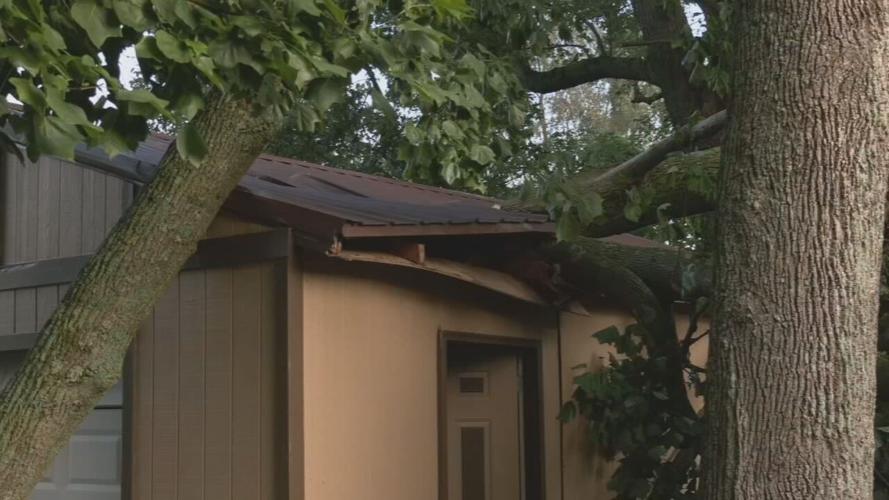 Salem Storm Damage - tree on garage