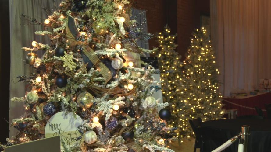 Festival of Trees and Lights