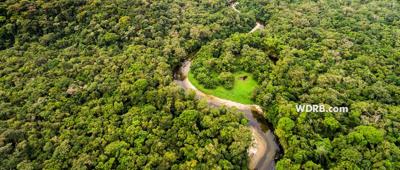 Learn Something New | Riparian Zone