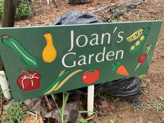 BLACKACRE COMMUNITY GARDEN - VEGETABLES - PLANTS - KEITH KAISER - 6-23-2020   (4).jpeg