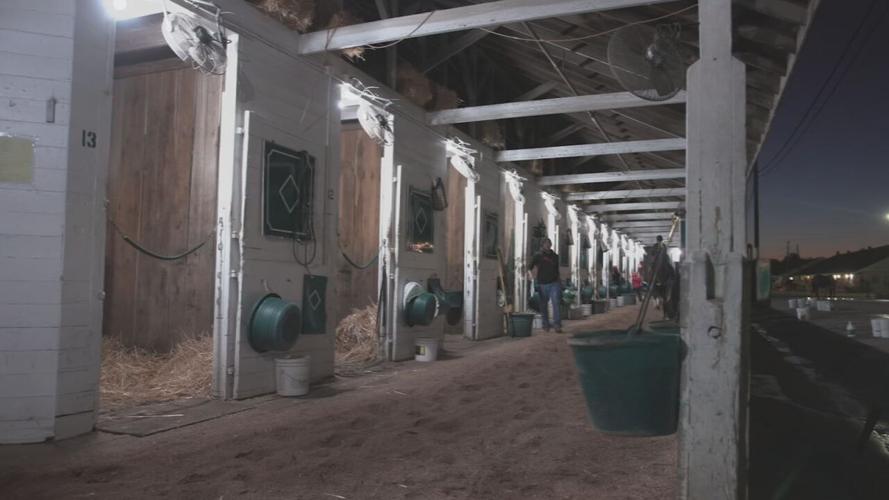 Horse owners collaborate to give portion of winnings to backside workers