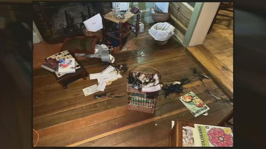 Remnants of Nelson County fire.jpeg