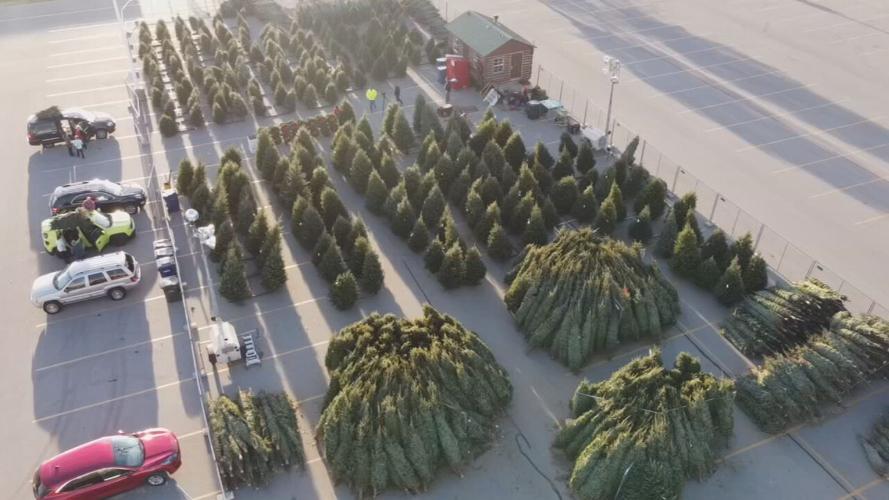 Martin's Christmas Tree lot 11-25-21