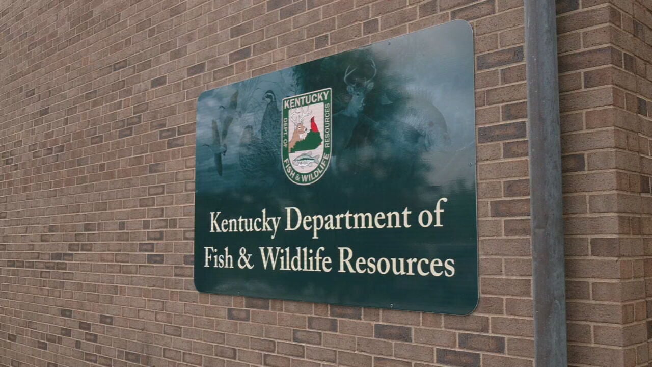 Trucks, Guns Included In Large Auction By Kentucky Fish And Wildlife ...