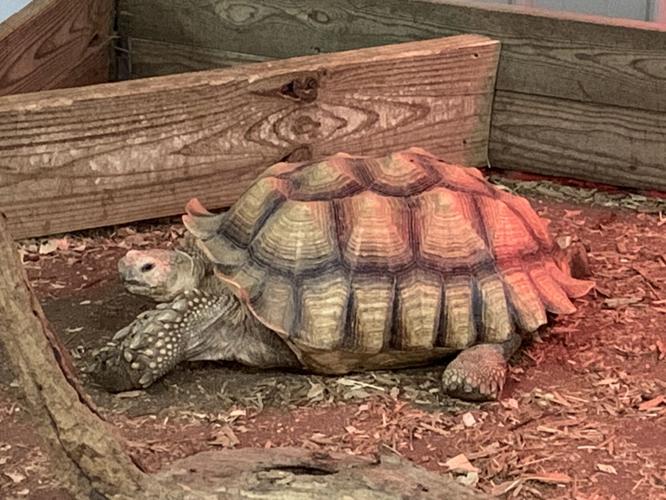 Wilstem Wildlife Park (54).JPG