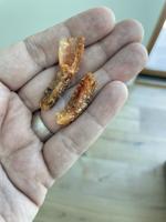Cinnamon Toast Crunch responds to man who claims he found shrimp tails in cereal, says it's just 'sugar'