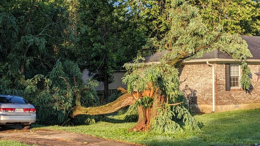 STORM - TREE ON HOUSE HWY 44 MT WASHINGTON  - JOE JUNIOR - 6-25-2023.jpg