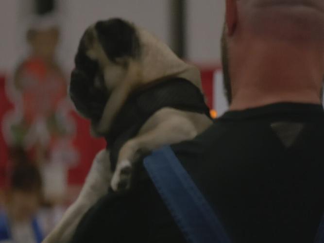 Bluegrass Pugfest 2023 (10).jpeg