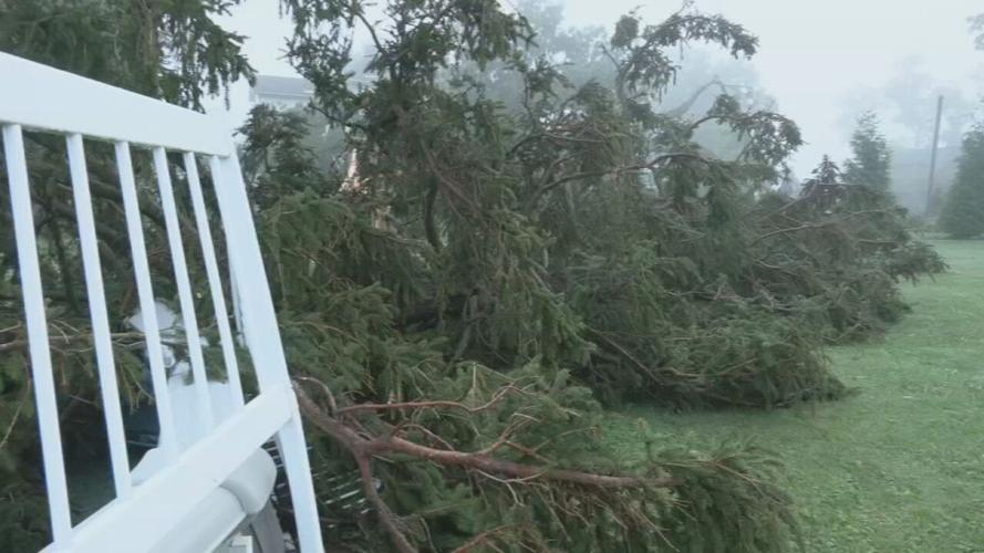 Salem Storm Damage - Tree in yard