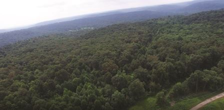 Land owned by Bernheim Forest
