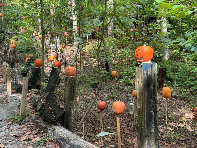 2024 Jack O'Lantern Spectacular