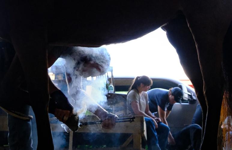 Derby City Classic Horseshoeing competition - 9.14.24