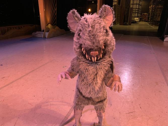 NUTCRACKER - LOUISVILLE BALLET KIDS - KEITH KAISER 12-17-19   (2).jpeg