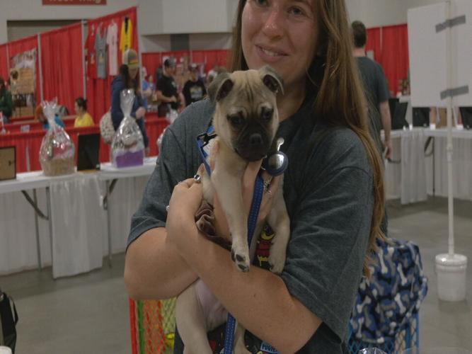 Bluegrass Pugfest 2023 (8).jpeg