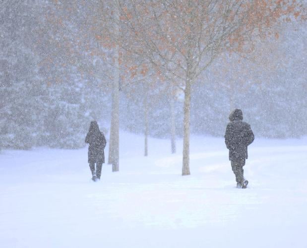 People walk in snow at park - Jan. 5, 2025.JPG