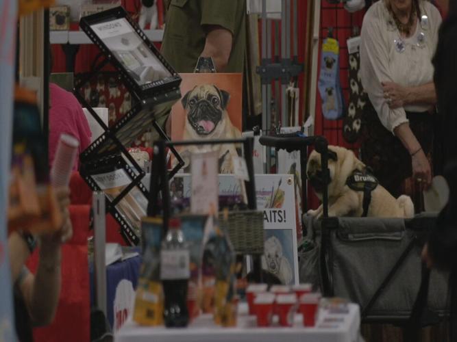 Bluegrass Pugfest 2023 (7).jpeg