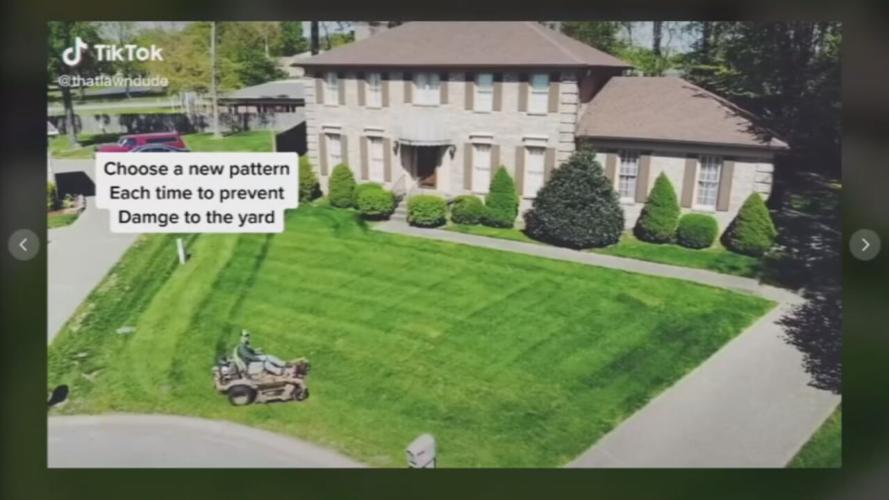 lawn dude
