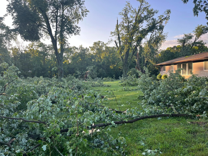 Trees down in Paoli yard