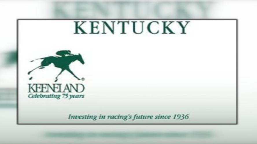 KY Transportation Cabinet to begin requiring $10 donation with special license plates