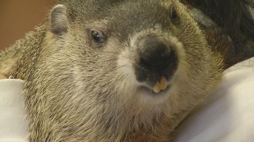 BECKLEY CREEK PARK GROUNDHOG DAY 1.png
